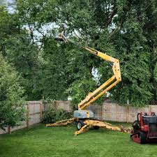 Lawn Pest Prevention in Bonham, TX