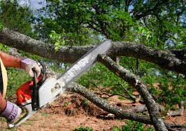 Best Weed Control  in Bonham, TX